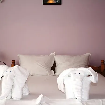 ゾヤ ゲスト ハウス ゲストハウス 2*