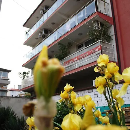 ゾヤ ゲスト ハウス 2* ラヴダ